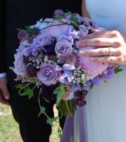 /album/elins-blomstergladje/img-0897-jpg/